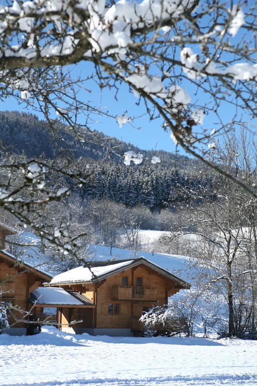 Residence Nemea Les Chalets Du Bois De Champelle Morillon Exterior photo