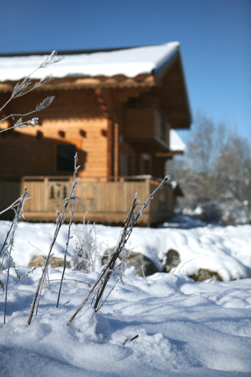 Residence Nemea Les Chalets Du Bois De Champelle Morillon Exterior photo